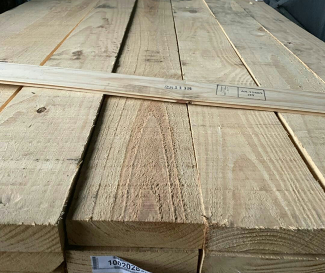 柳南阿根廷松木